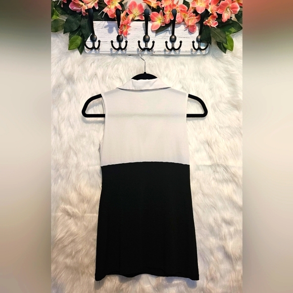 Classic Ruched Waist Ruffle Collared Mini Dress - Picture 3 of 4